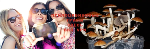 2c-b Вязьма