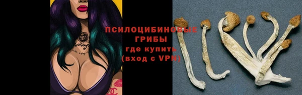 2c-b Вязьма