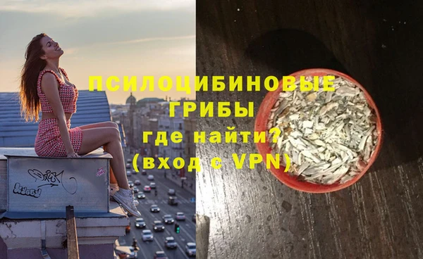2c-b Вяземский